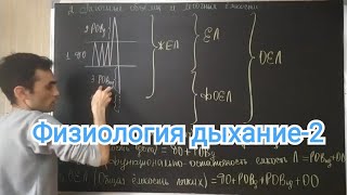 Физиология дыхание. Легочные объёмы и ёмкости. Частота дыхание и другие.