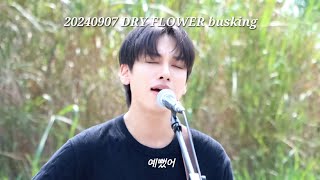 4K) [240907] DAY6 - 예뻤어 cover. / DRY FLOWER busking 드라이플라워 버스킹 / 승윤 focus.