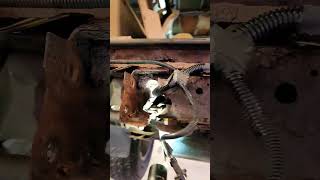 Part 1 Ford Bronco II Frame rust repair! #rustrepair #fabrication #mechanic @firstpickfrenchies