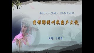 秦腔《二度梅》选段：离邯郸倒叫我悲声大放/王桂棉演唱