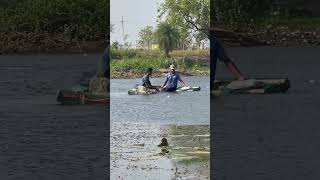 Carp & cat fish catching with net || मछली पकड़ी जले से || village fishing | #shorts #fishing