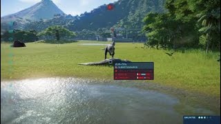 6 Allosauruses vs 6 Albertosauruses which species is superior!!!!!!! (Jurassic World evolution)