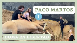 Conociendo la DOMA EN LIBERTAD con PACO MARTOS | CABALLOS y AVES RAPACES | Parte 1 👩🏼‍💻🐴🌿 Laura Raya