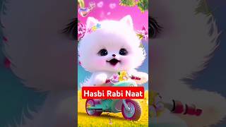 Hasbi Rabbi jallallah beautiful Naat #catsinislam #cute #youtubeshorts