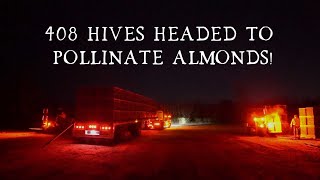 20 MILLION BEES Going to Pollinate Almonds!