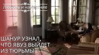 Шанур узнал, что Явуз выйдет из тюрьмы | Любовь и наказание - серия 25