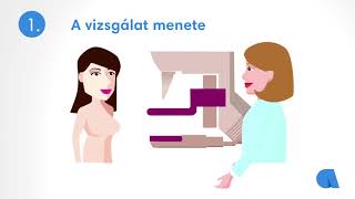 Mit kell tudni a mammográfiáról? - Affidea Magyarország (Röntgen, ultrahang, tapintásos vizsgálat)