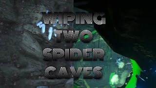 Center & Val Spider Cave Wipes | Bobs Gone Wild