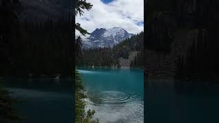 You can't BELIEVE how Blue this lake is 😲 #shorts #shortvideo #youtubeshorts #nature