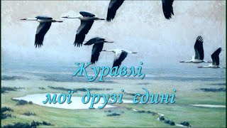 "Журавлі, мої друзі єдині" - пісня українських заробітчан