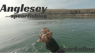 Anglesey Spearfishing/Snorkeling 2019