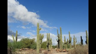 Gilbert Watch Ranch (GWR) Meetup August 20, 2022