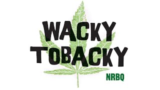 NRBQ - the original “WACKY  TOBACKY”  (live)