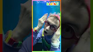 Nos vamos bajo el agua para nuestro próximo episodio, ¡nos vemos el sábado! 🐠 | Kidibli #shorts