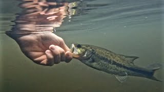 I was not expecting THIS to happen!! (pond fishing pt 2)