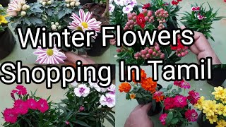 New Winter Flowers Shopping /Names And Price /Winter plants