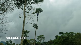 Keindahan Desa Terpencil di Jawa Barat