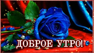 ДОБРОЕ УТРО! 💖ПОСМОТРИ - ПРЕКРАСНА ЖИЗНЬ, 💖ПУСТЬ ТЕБЯ ЖДЁТ ДЕНЬ 💖ЧУДЕСНЫЙ,💖 РАДОСТНЫЙ И ИНТЕРЕСНЫЙ.💖