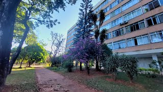 Brasília - SQS 205 - Caminhada em uma tarde quente / SQS 205 - Walk on a hot afternoon in Brasília