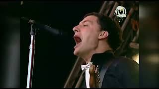 The Hives - Die, All Right! (Live -Big Day Out, Sydney, 2005)