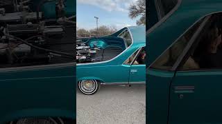 low lows on a nice sunday at the park down here in San Anto Tx #lowrider #lowlow #lowriders