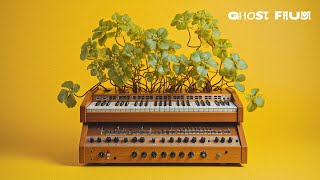 Quiet Honey: Relaxing Organic Soundscapes [EXPERIMENTAL AMBIENT MUSIC 1 Hour]