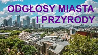 Odgłosy miasta i przyrody wiosną - Relax