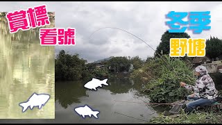 野塘冬釣鯽魚