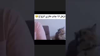 ليش ماتتزوجي🤣🤣🤣