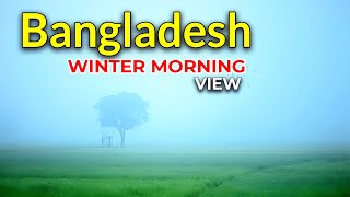 Winter Morning of Bangladesh Village - 2024