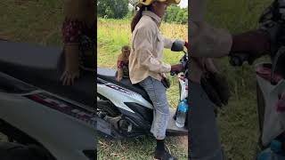 Smart DuDu baby monkey with his mother ridding a motorcycle