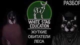 НЕЗНАКОМЦЫ В МАСКАХ ЗВЕРЕЙ ПОХИЩАЮТ ЛЮДЕЙ. WHITE STAG EDUCATION (Разбор)