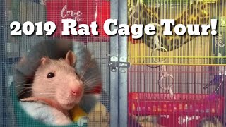 2019 RAT CAGE TOUR!