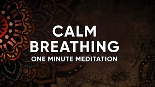 Feel the power of your breath! Energizing deep breathing exercise 💮 One minute meditation🧘‍♀️