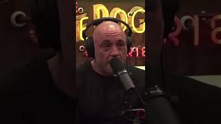 Joe Rogan Loves Bear Videos #bears #joerogan #shorts