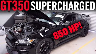 Should You Supercharge A Shelby GT350? Or Get a 2020 GT500? Battle of the 800Hp Cars!