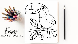 HOW TO DRAW A PARROT BIRD EASY + COLOURING