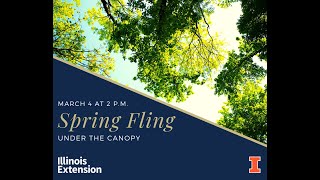 Spring Fling 2021 series Under the Canopy