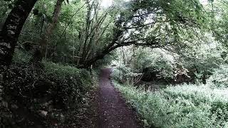 Stroudwater canal - Frampton Mansell to Daneway philgl5