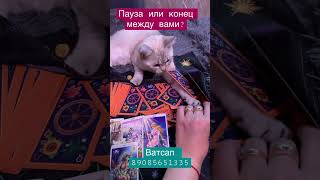 Пауза или конец?личные расклады Ватсап 89085651335