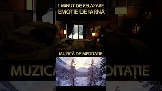 UN MINUT DE RELAXARE-EMOTIE DE IARNA-MUZICA DE MEDITATIE #shorts