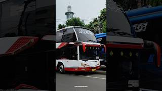 Po m trans double decker #busmania #bus #shorts