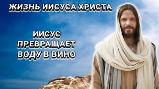 Иисус превращает воду в вино. Библейские видеосюжеты.