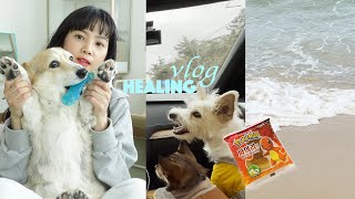 VLOG | 양양에서 보낸 나를 위한 하루🌊 포켓몬 빵, 산책로🏃🏻‍♀️