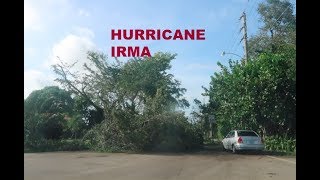 SURVIVING HURRICANE IRMA