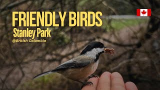 Birds at Stanley park, they’re friendly & adorable 🥰