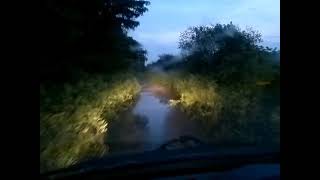 Tiger attack at Night Safari Rajaji National Park