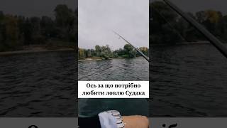 Цього ніхто не очікував #рибалка #риболов #риболовля #риба #fishing #fishinglife #fishing