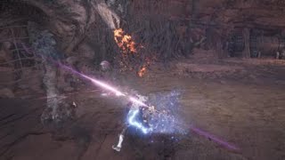 MHW 新大陸的空與花 - 夫婦永遠恩愛