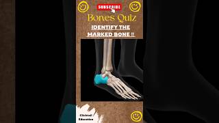 99% people can't answer this question bones quiz , 3d photo of skeleton #neetpgpreperation #neetpg